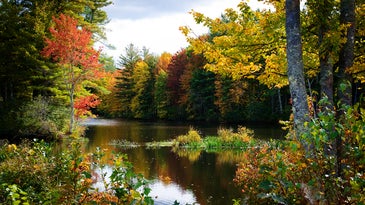 Photo of the Day: Thursday October 15 2009