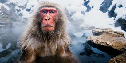 New Networks for Conservation Photographers New Networks for Conservation Photographers