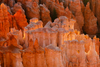 Today's Photo of the Day comes from Laura Zirino and was taken in Bryce Canyon using a Canon EOS 5D Mark III
with a EF 100-400mm f/4.5-5.6L IS USM lens at 1/5 sec, f/10 and ISO 100. Zirino says that the sunrise that morning wasn't doing much for her and she wasn't interested in taking the stereotypical shots that every tourist captures so she pulled out a zoom lens to get a different perspective. "The sun was right behind the hoodoos at Inspiration Point so I knew they'd get this amazing glow," she says of the image. See more of her work <a href="https://www.flickr.com/photos/laura_zirino/">here. </a>