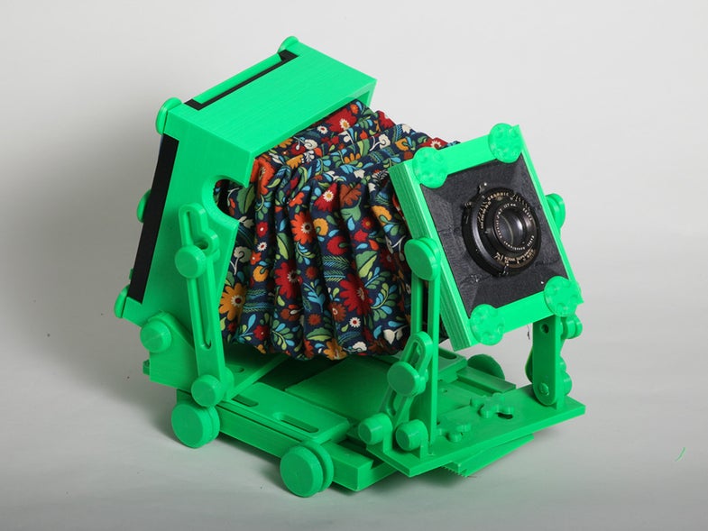 green cameradactyl