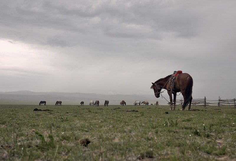 Mongolia