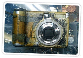 Typepad Import Image