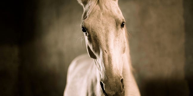 Photo of the Day October 8, 2014 Photo of the Day October 8, 2014