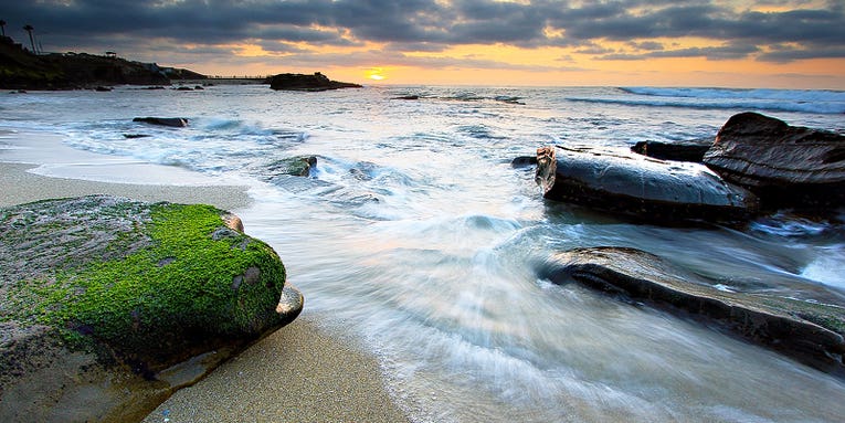 Your Best Shot Finalist Gallery: February 2014