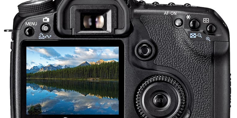 5 Things You Should Know About Your Camera’s LCD