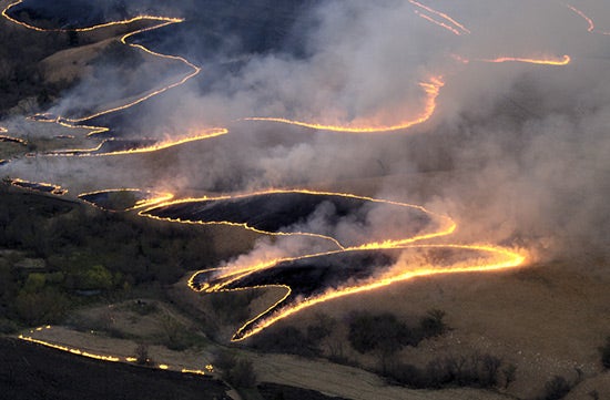 The-Last-Real-American-LandscapeDuring-the-burn-se