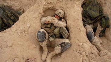 War Photography With Bite