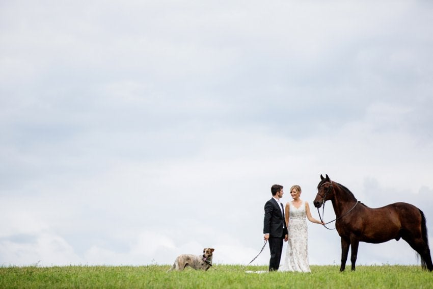 How-To: Include Pets In Wedding and Engagement Portraits