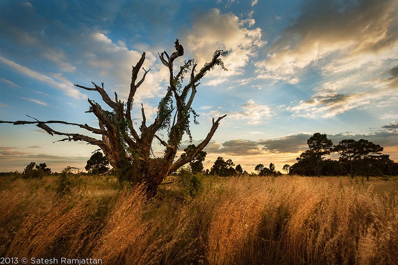 Satesh made this photo by combining two different exposures manually in Adobe Photoshop. It was shot with a Canon EOS 5D Mark II. See more of Satesh's work <a href="http://www.peaceinart.com/">here</a>. If you want your own work considered for Photo of the Day, <a href="http://www.flickr.com/groups/1614596@N25/">join up with our Flickr group</a> and submit your stuff!