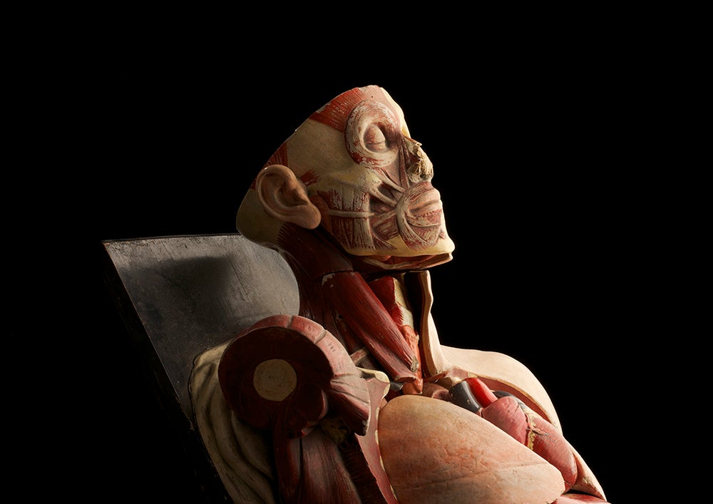 Old Anatomy Model