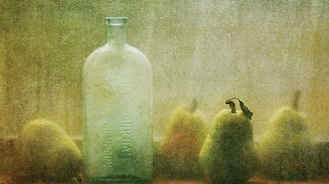 You Can Do It: Shoot Evocative Still Life Photos