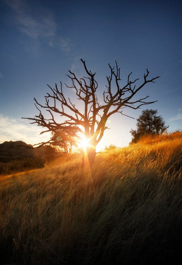 Bob made today's Photo of the Day in Prescott, Arizona. You can see more of his work <a href="https://www.flickr.com/photos/95052834@N04/">here</a> Want to be featured as our next Photo of the Day? Simply submit you work to our <a href="http://www.flickr.com/groups/1614596@N25/pool/page1">Flickr page</a>.