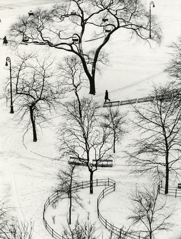 washington square park