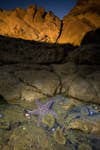 Rescue-Hidden-Detail-Malibu-Beach-CA-Tripod-mou