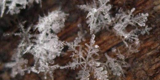 How to Photograph Snowflakes How to Photograph Snowflakes