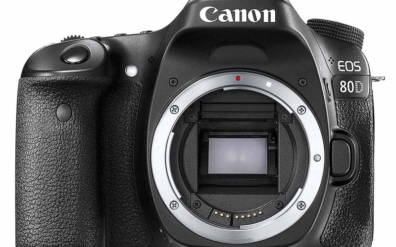 Canon 80D Camera Review