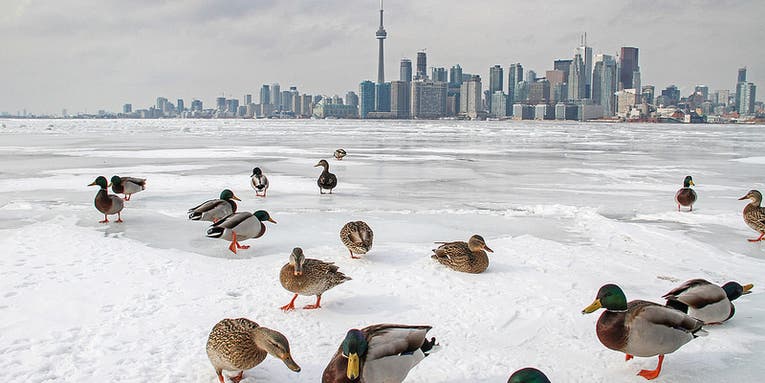 Photo of the Day February 5, 2014 Photo of the Day February 5, 2014