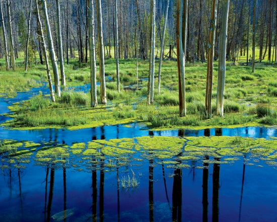 Rodney-Lough-Jr.-shot-this-evocative-landscape-in