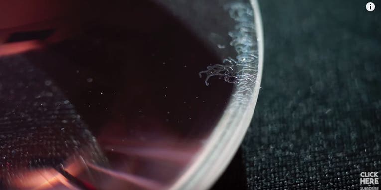 How to clean out fungus on vintage camera lenses