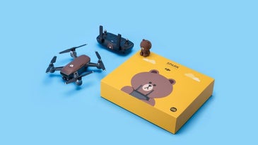 DJI Spark Drone Bear