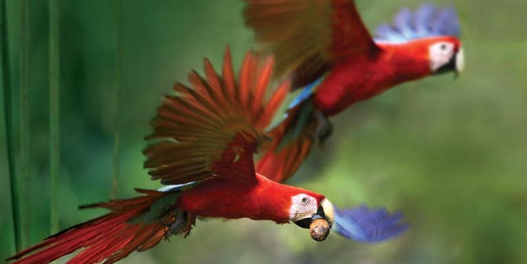 How To: Plan the Perfect Photo-Tour to Costa Rica How To: Plan the Perfect Photo-Tour to Costa Rica