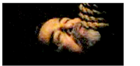 Typepad Import Image