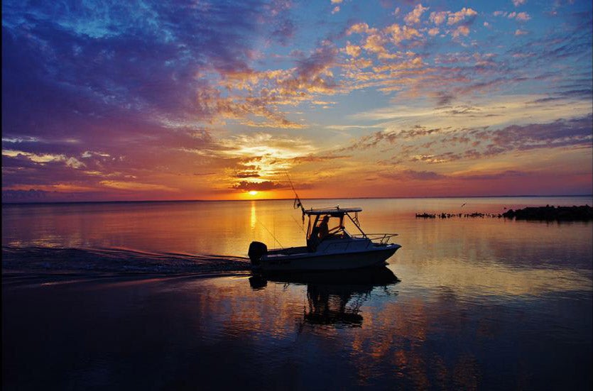 Hurrying Home at Port St. Joe Florida