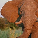 Extreme-Adventure-Series-Botswana-Africa
