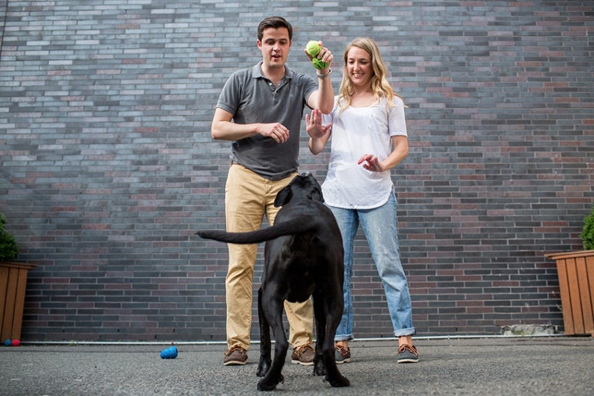 How-To: Include Pets In Wedding and Engagement Portraits