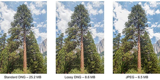 New Adobe DNG 1.4 Image Format Offers ‘Lossy Compression’ For Smaller RAW Files