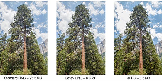 New Adobe DNG 1.4 Image Format Offers ‘Lossy Compression’ For Smaller RAW Files New Adobe DNG 1.4 Image Format Offers ‘Lossy Compression’ For Smaller RAW Files