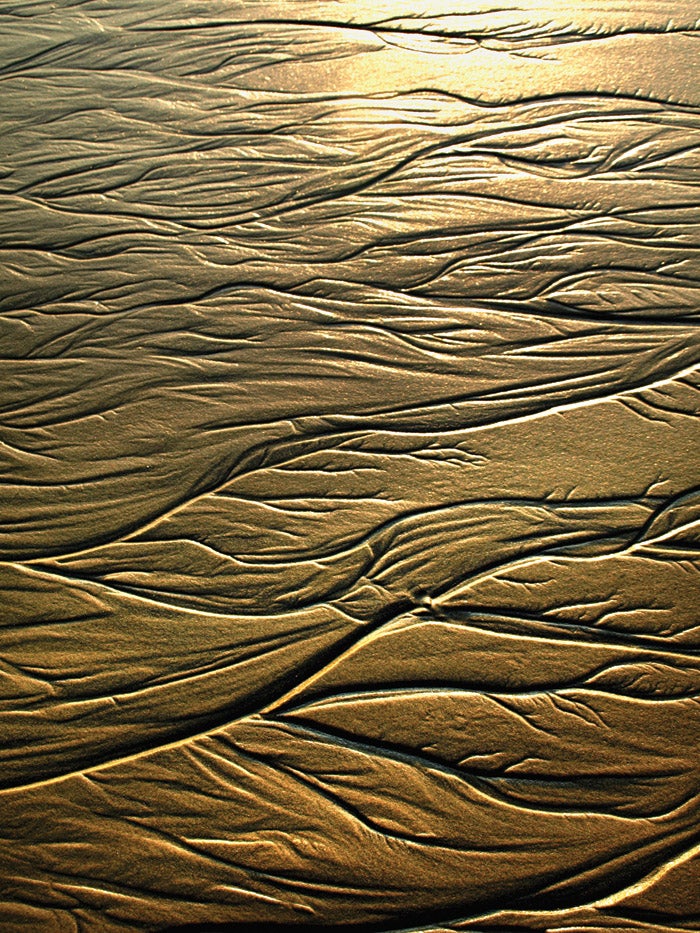 vein-filled swath of sand