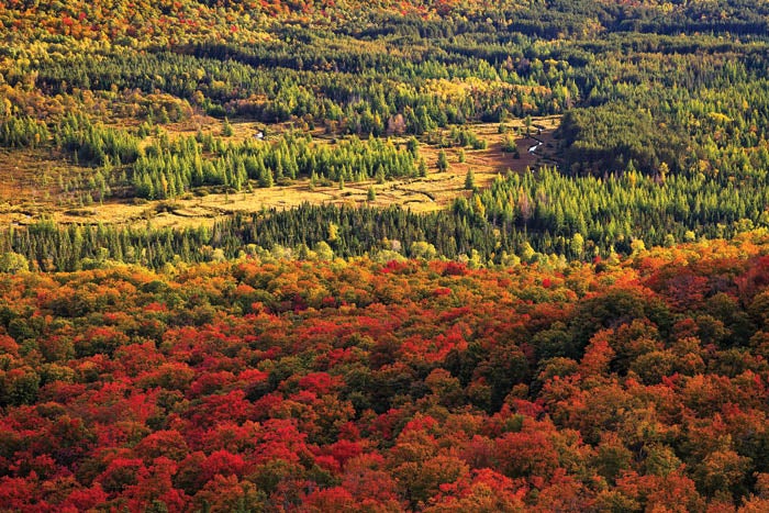 Mt. Van Hoevenberg, Lake Placid, NY