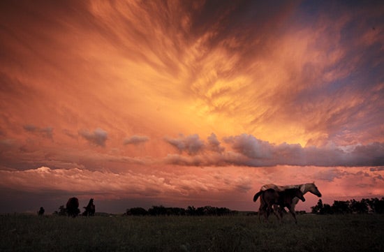 The-Last-Real-American-Landscape