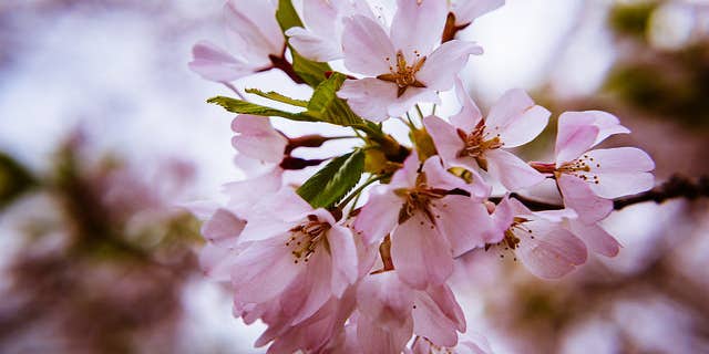 April 2015 April 2015