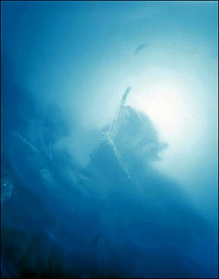 "Yemaya-Underwater-Camera-Photographed-off-the-c"