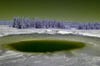 Today's Photo of the Day was taken by Neal Wellons in Yellowstone using a Panasonic DMC-TZ3. The purple trees and green sky aren't a result of heavy postprocessing though, Neal actually shot this image using an IR modified camera. See more of Neal's work <a href="http://www.flickr.com/photos/97423979@N00/">here</a>.