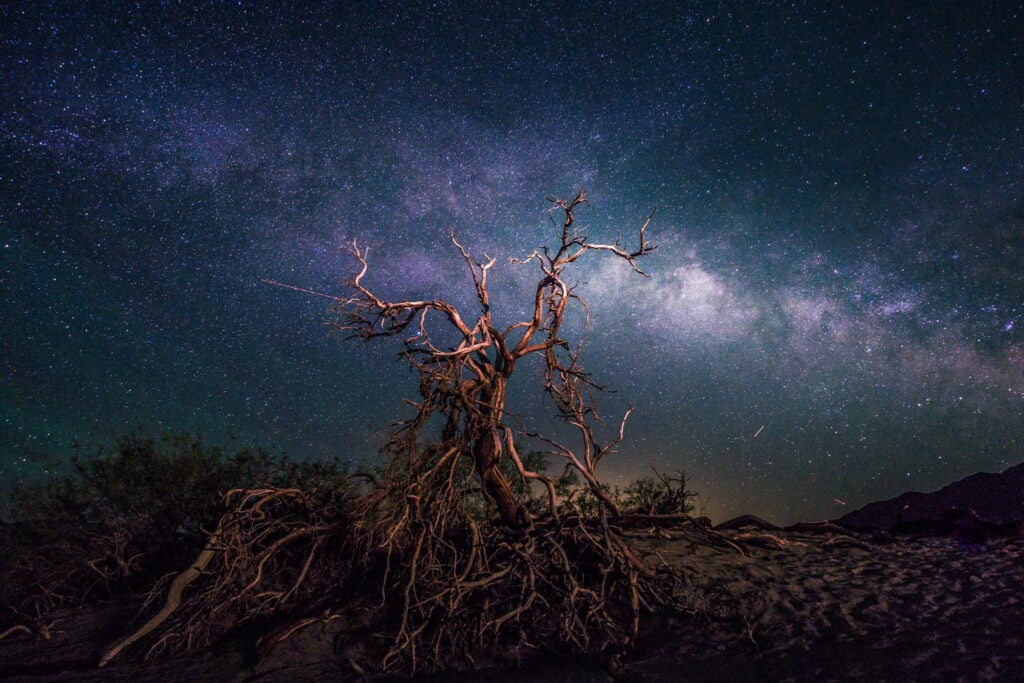 Hadley Johnson captured today's Photo of the Day in the Mesquite Dunes of Death Valley using a Sony ILCE-6000 and a long 20 second exposure at ISO 3200. See more work <a href="https://www.flickr.com/photos/94314925@N03/">here.</a>