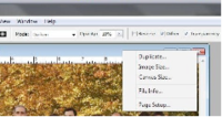 Typepad Import Image