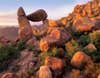 Bonus Image: Big Bend National Park