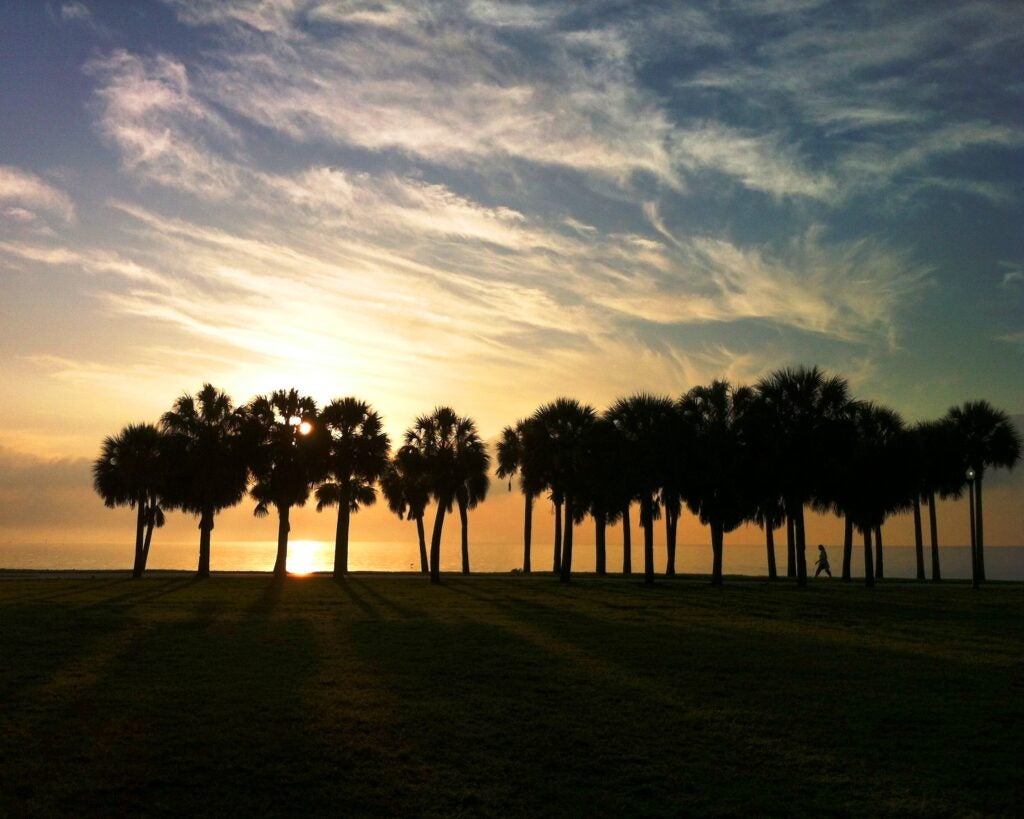 Early morning walk