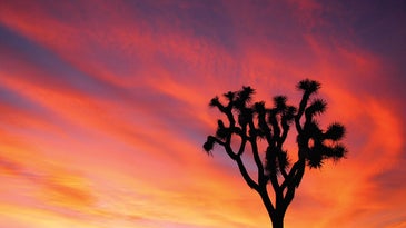 The Best National Parks For Photography