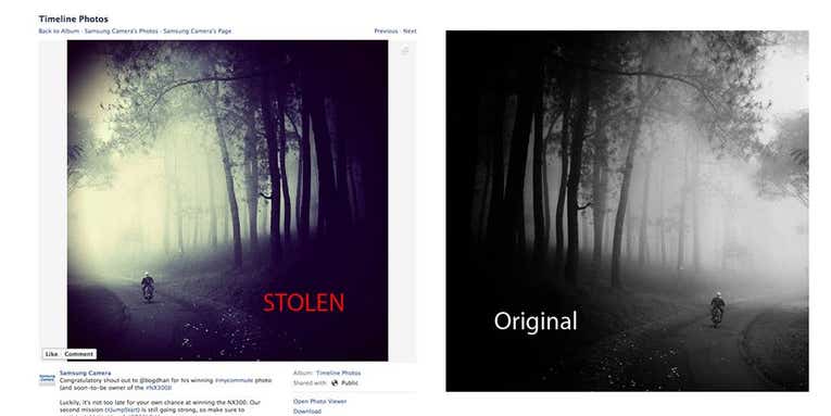 Stolen Image Wins Samsung Photo Competition, Samsung Quickly Fixes It