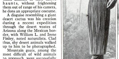 Nature Photographer from 1931 Disguises Himself as a Cactus