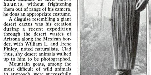 Nature Photographer from 1931 Disguises Himself as a Cactus Nature Photographer from 1931 Disguises Himself as a Cactus