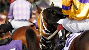 I, photographer: Thoroughbred Racing Photographer Sam English
