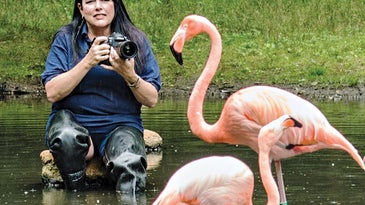 I, Photographer: Zoo Keeper