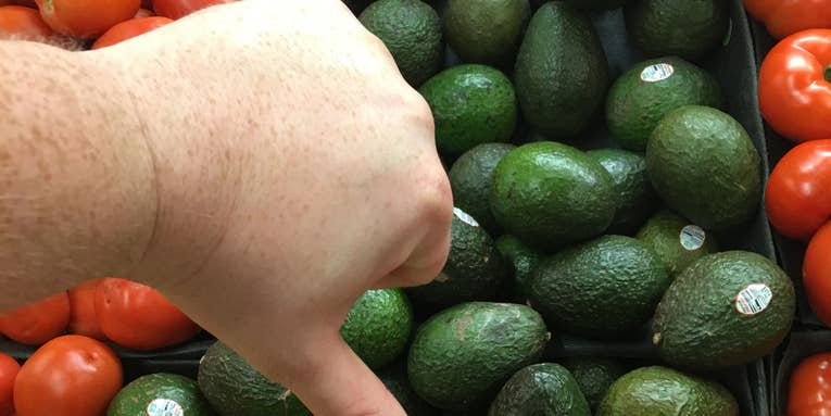 Jimmy Fallon’s “Explain This Photo” Game Reminds Us How Many Weird Images We Take Jimmy Fallon’s “Explain This Photo” Game Reminds Us How Many Weird Images We Take