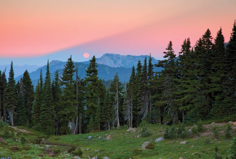 Shadow of Mt. Rainier in the Sky