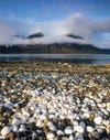 Leland Island beach